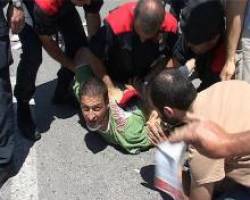 Manifestant detingut