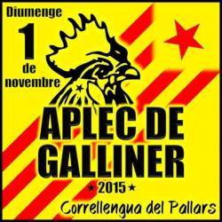 Cartell del Correllengua al Pallars