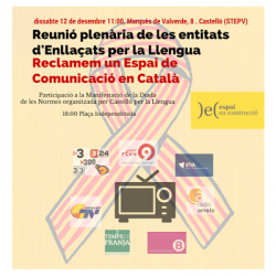 Castelló aplega la reunió plenària d'Enllaçats per la Llengua sota l'horitzó d'un espai audiovisual comú