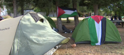 L'STEI Intersindical rebutja els atacs als universitaris acampats en suport a Palestina