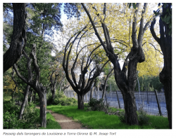 L?espectacle ?Natura Encesa? torna a amenaçar un parc únic a Barcelona