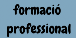 L?STEI Intersindical reclama la implantació del complement d?equiparació al Grup A1 per al professorat tècnic d?FP