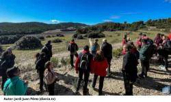 La Carrasca-Ecologistes en Acció presenta al·legacions contra la planta fotovoltaica projectada en la partida alcoiana de Polop Alt