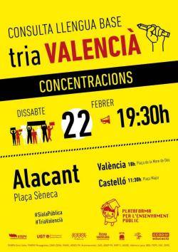 La Plataforma en Defensa de l?Ensenyament Públic convoca concentracions massives a València, Castelló i Alacant per a dir ?Sí al Valencià?