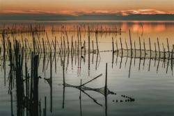 LA UNIÓ de Llaurados rebutja la ?pantomima? de proposta de l?Albufera com a Reserva de la Biosfera